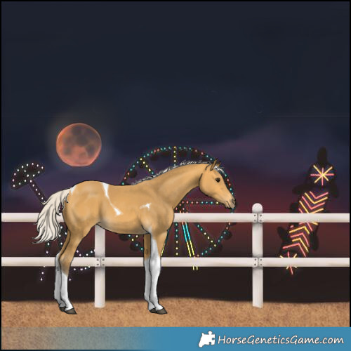 Horse Color:Silver Buckskin Tobiano