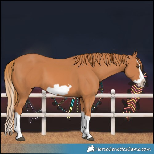 Horse Color:Chestnut Splash Frame 