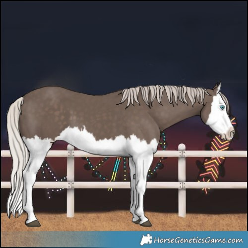 Horse Color:Unknown 