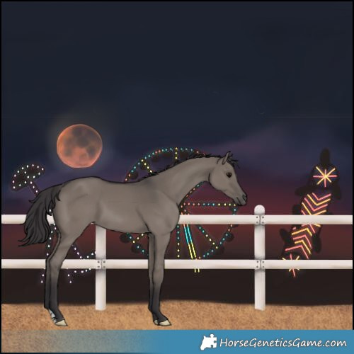 Horse Color:Smoky Grullo