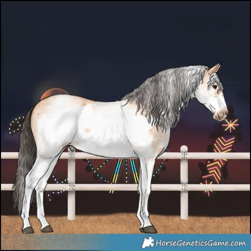 Horse Color:White Spotted Bay Dun Sabino Frame 