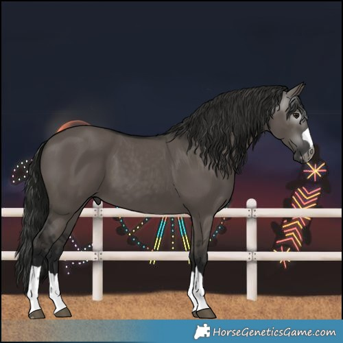 Horse Color:Gray Grullo