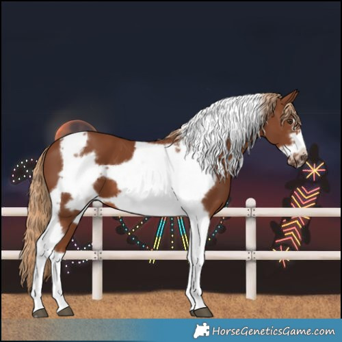Horse Color:Chestnut Tobiano Frame