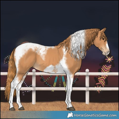 Horse Color:Chestnut Tobiano Frame