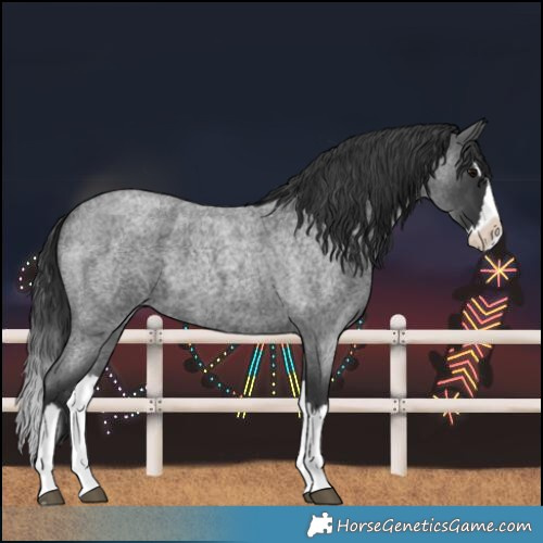 Horse Color:Blue Roan Splash 