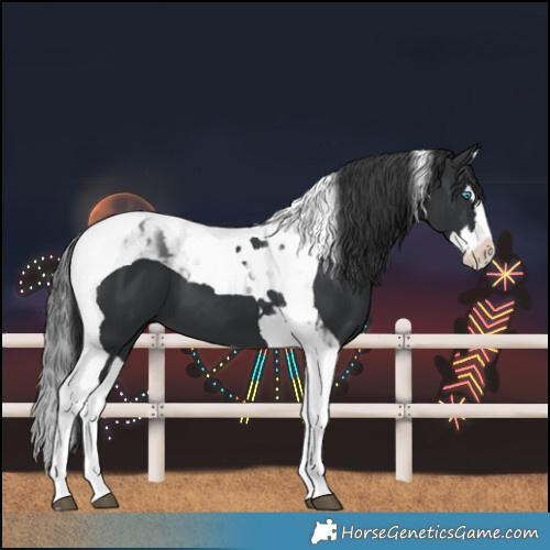 Horse Color:Black Splash Tobiano 