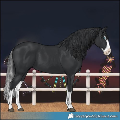 Horse Color:Black Splash 