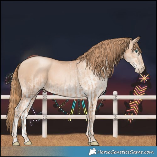Horse Color:Gold Champagne Pearl Rabicano and White Spotted Gold Champagne Pearl Rabicano
