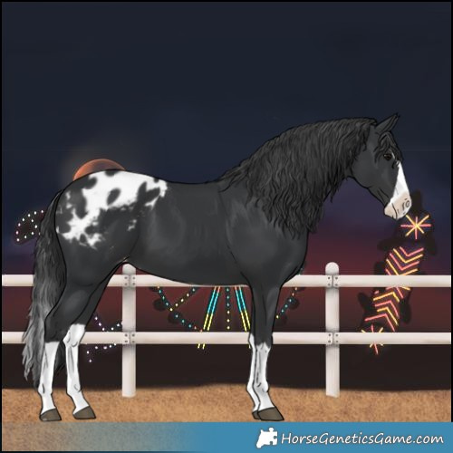 Horse Color:Black Splash Blanket 