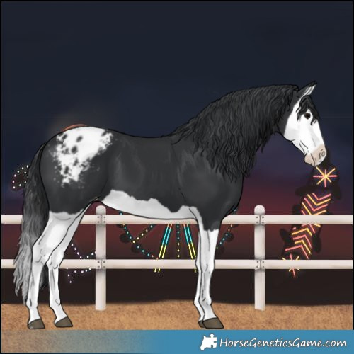 Horse Color:Black Splash Varnish