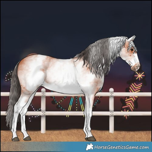 Horse Color:White Spotted Bay Sabino Frame 