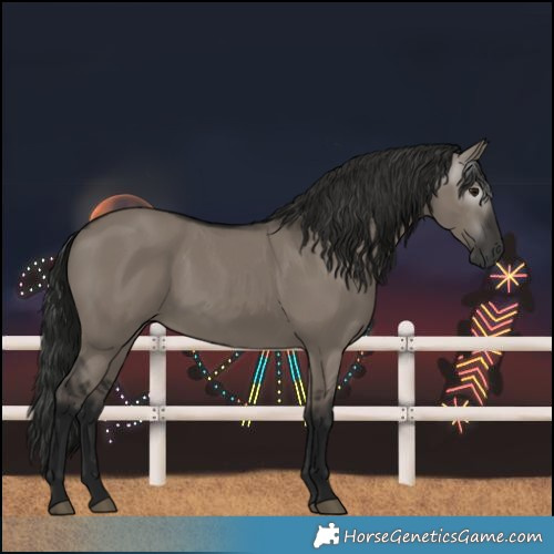 Horse Color:Gray Grullo