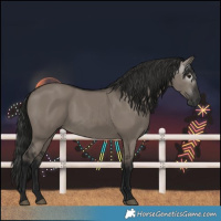 Horse Color:Gray Grullo