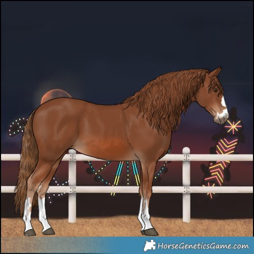 Horse Color:Chestnut Rabicano 