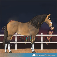 Horse Color:Buckskin