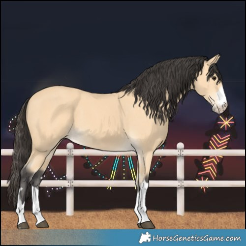Horse Color:Buckskin