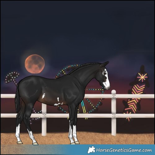 Horse Color:Gray Brown