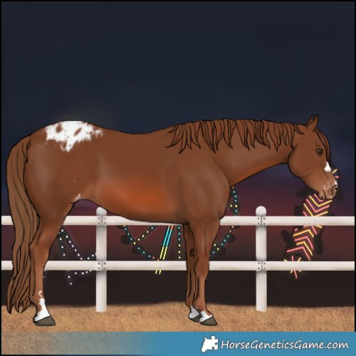 Horse Color:Chestnut Varnish 