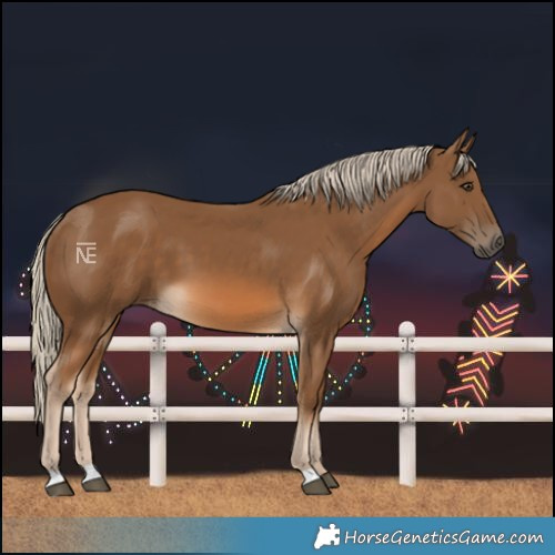Horse Color:Chocolate Palomino
