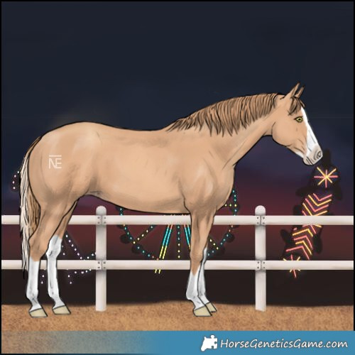 Horse Color:Gold Champagne Splash 