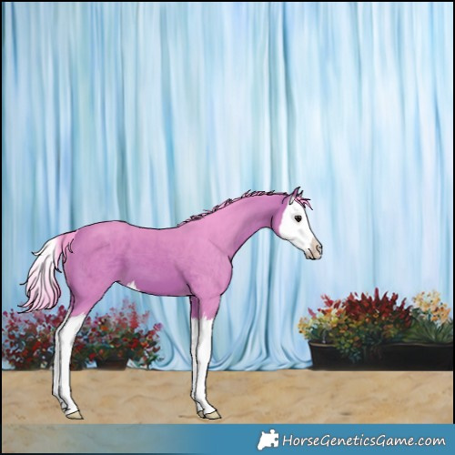 Horse Color:Watercolor Bay Splash