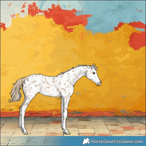 Horse Color:Chocolate Palomino Dun Near Leopard