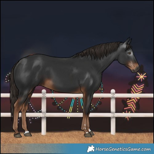 Horse Color:Gray Liver Chestnut 