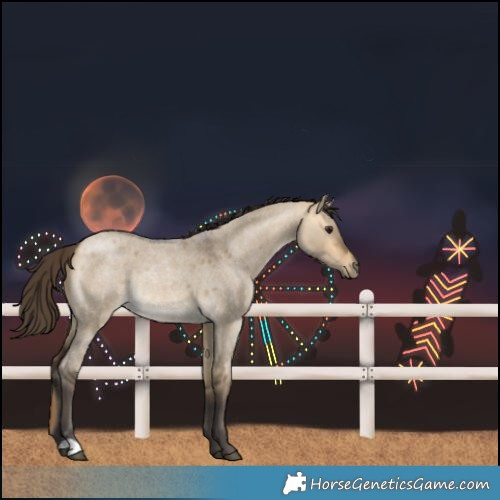 Horse Color:Buckskin Roan Dun Rabicano 