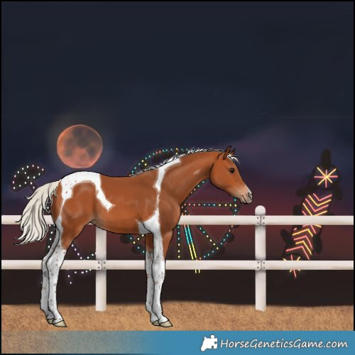 Horse Color:Silver Bay Tobiano 