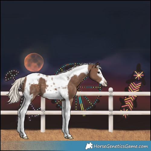 Horse Color:Silver Black Splash Tobiano Frame 