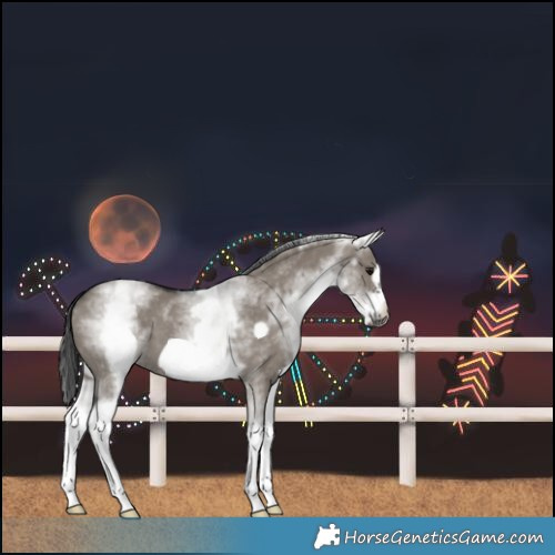Horse Color:White Spotted Grullo Frame