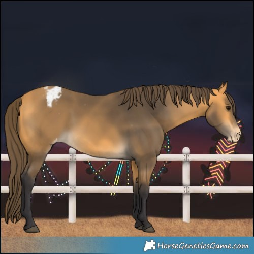 Horse Color:Buckskin Varnish