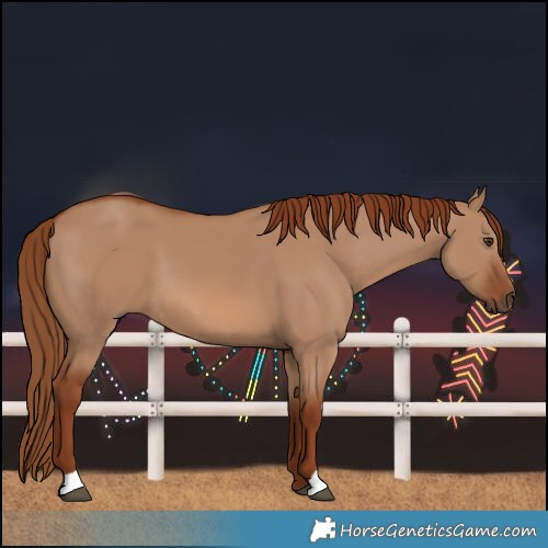 Horse Color:Red Dun 