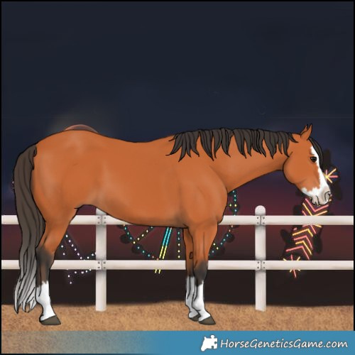 Horse Color:Bay Splash 