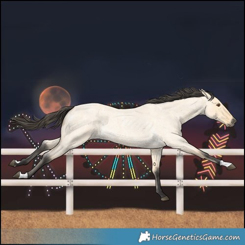 Horse Color:Buckskin Roan Dun