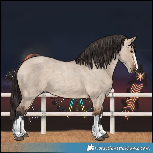 Horse Color:Bay Roan Dun