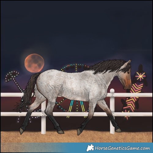 Horse Color:Bay Roan Dun 