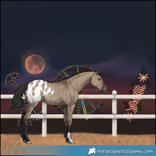 Horse Color:Liver Red Dun Blanket Brindle
