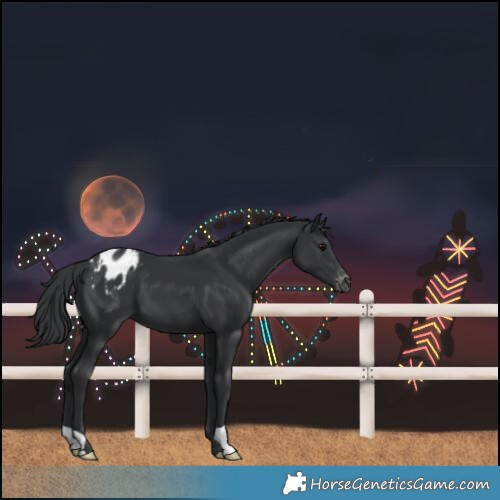 Horse Color:Black Varnish