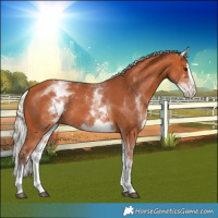 Horse Color:White Spotted Silver Bay Splash