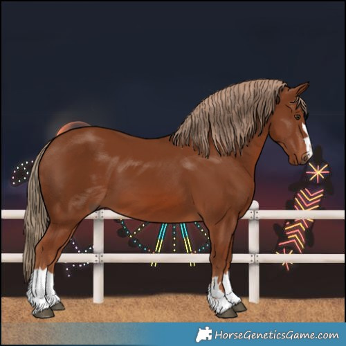 Horse Color:Chestnut 