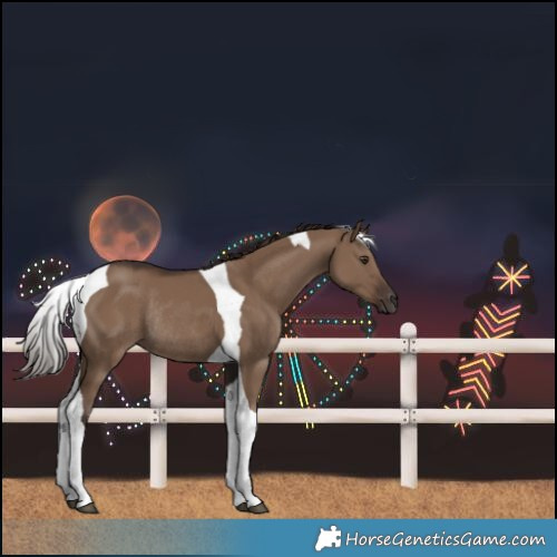 Horse Color:Liver Red Dun Tobiano Rabicano 