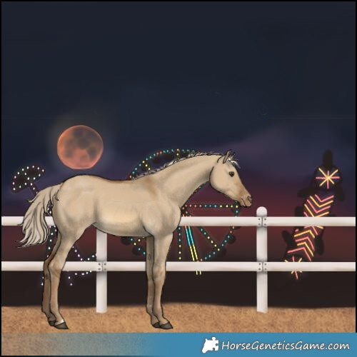 Horse Color:Chocolate Palomino Dun Varnish Rabicano 