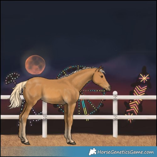Horse Color:Palomino Rabicano 