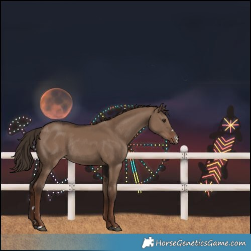 Horse Color:Liver Red Dun Rabicano 