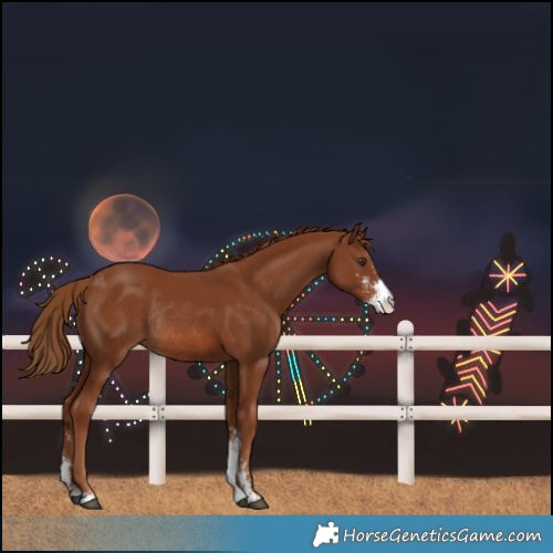 Horse Color:Chestnut Sabino Rabicano