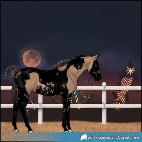 Horse Color:Void Bay Dun Splash Tobiano