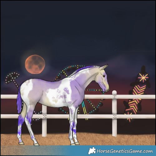Horse Color:Watercolor Buckskin Dun Tobiano