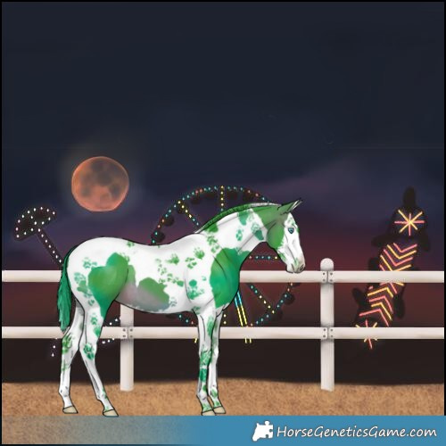 Horse Color:Watercolor Brown Splash Tobiano