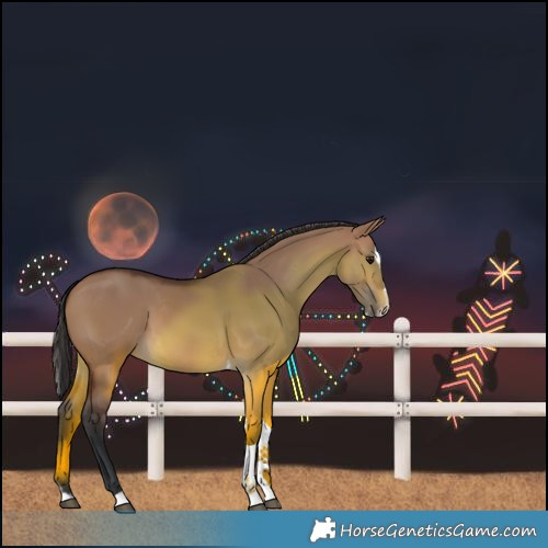 Horse Color:Brown Dun Splash Tobiano 